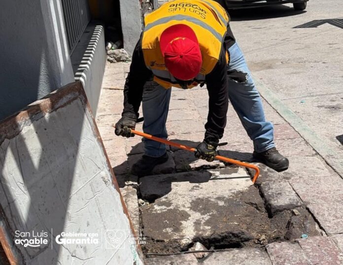 Gobierno de la Capital continúa con labores para el mejoramiento de los mercados municipales