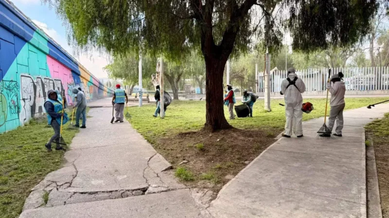 Rehabilita Gobierno Municipal áreas verdes en la intersección de Av. Salvador Nava y Av. Juárez
