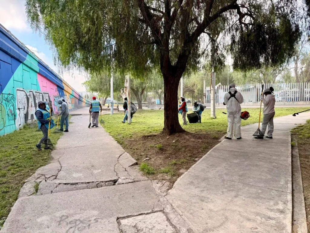 Rehabilita Gobierno Municipal áreas verdes en la intersección de Av. Salvador Nava y Av. Juárez