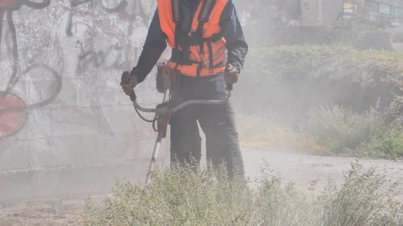 Gobierno de la Capital recupera terreno utilizado como tiradero de basura en la calle Vergel de las Flores