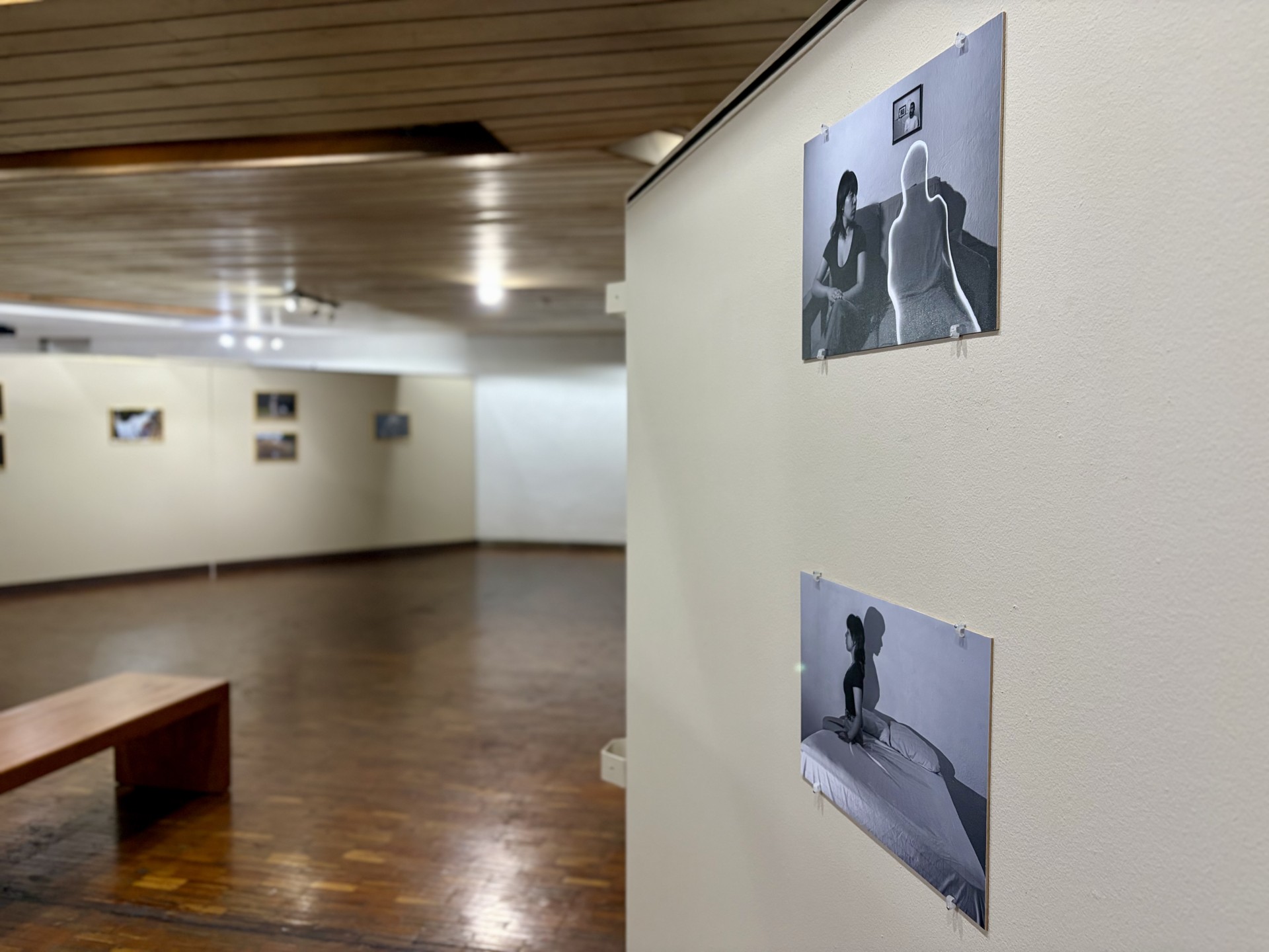 INICIA FOTOVISIÓN 31
