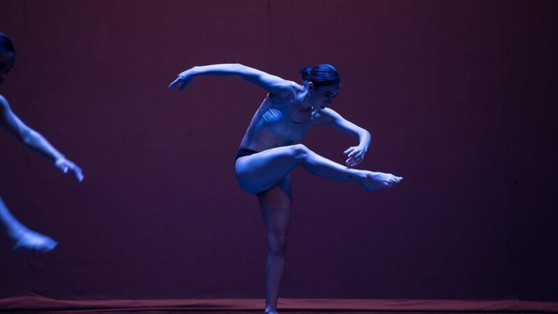 MUSEO FEDERICO SILVA CELEBRA ANIVERSARIO