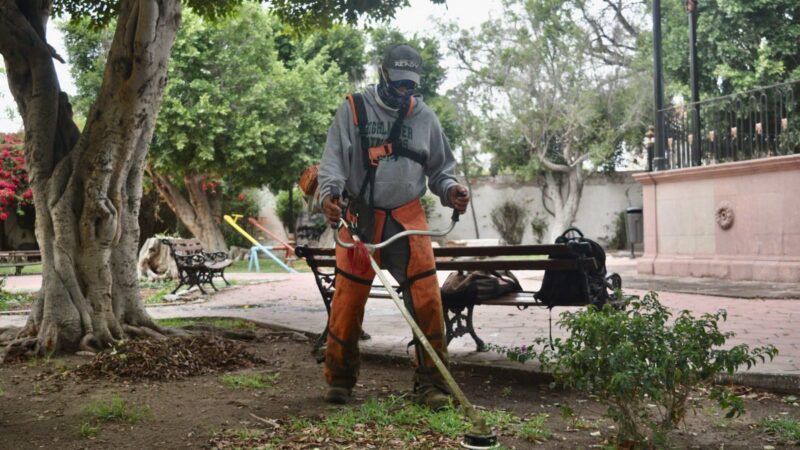 GOBIERNO MUNICIPAL DA MANTENIMIENTO A JARDÍN DEL MONTECILLO