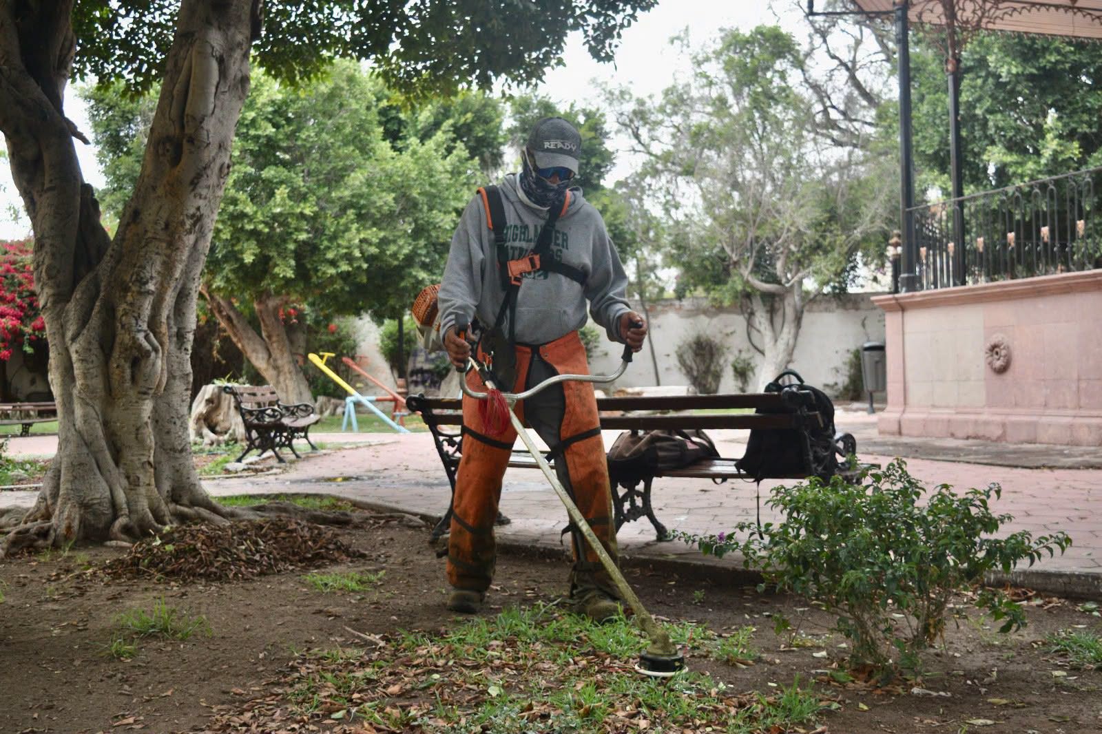 GOBIERNO MUNICIPAL DA MANTENIMIENTO A JARDÍN DEL MONTECILLO