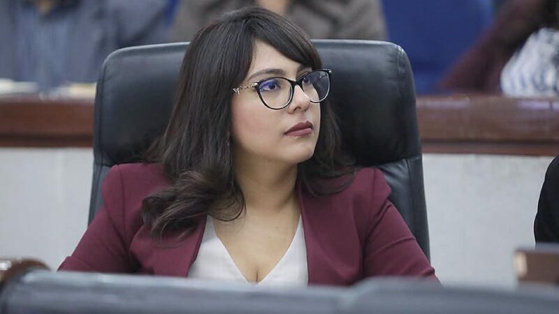 SE BUSCA FORTALECER EL FUNCIONAMIENTO DEL PADRÓN ESTATAL DE PERSONAS DEUDORAS ALIMENTARIAS MOROSAS Y GARANTIZAR SU CARÁCTER PÚBLICO.