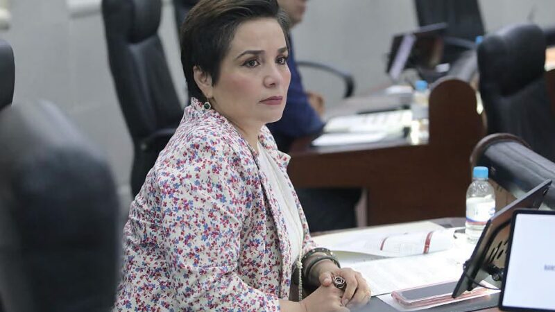 INICIATIVA BUSCA ESTABLECER SISTEMAS DE RECOLECCIÓN DIFERENCIADA DE RESIDUOS ORGÁNICOS PROVENIENTES DE ANIMALES DE COMPAÑÍA.