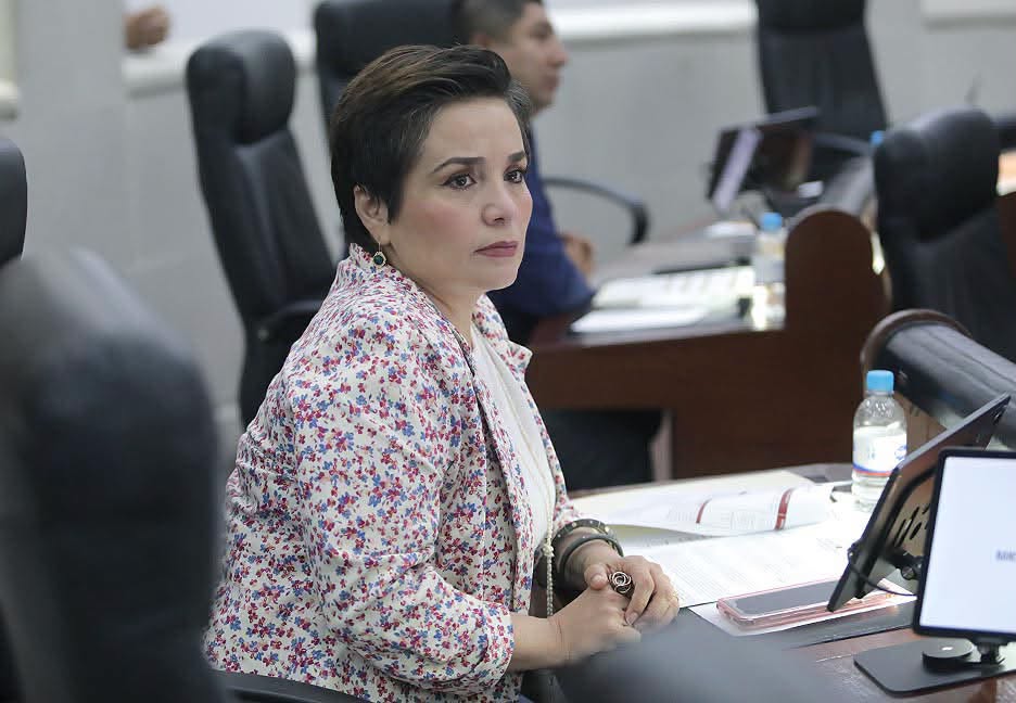 INICIATIVA BUSCA ESTABLECER SISTEMAS DE RECOLECCIÓN DIFERENCIADA DE RESIDUOS ORGÁNICOS PROVENIENTES DE ANIMALES DE COMPAÑÍA.