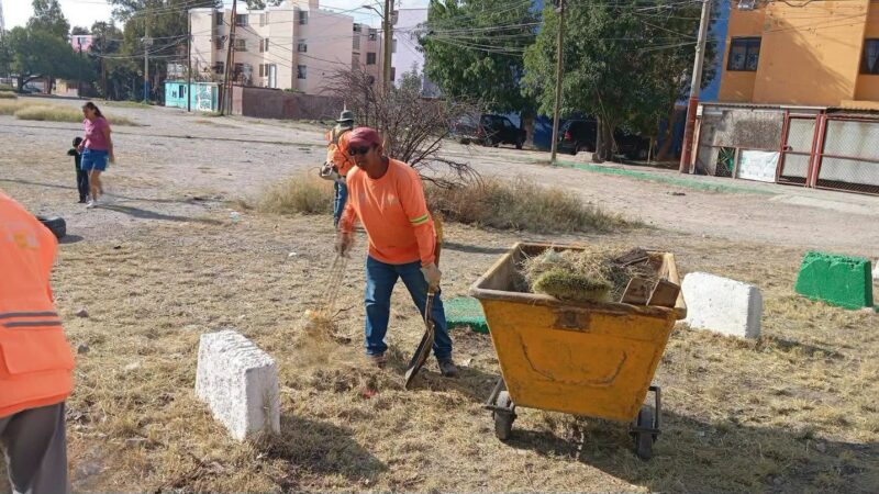 Gobierno de la capital realiza limpieza en la Unidad Habitacional Arbolitos
