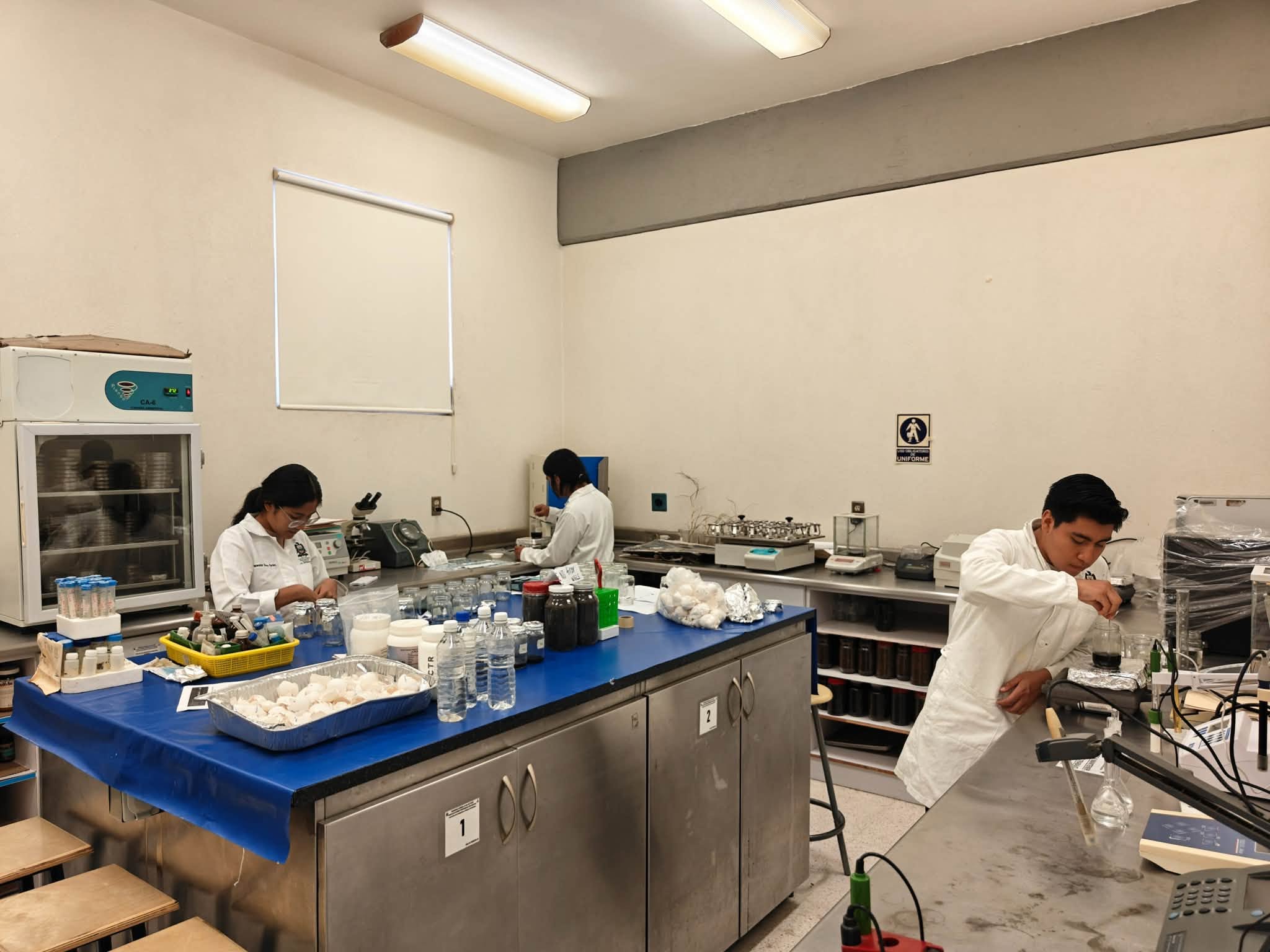 Preservar el conocimiento tének sobre plantas medicinales, objetivo de investigación de la FEPZH UASLP.