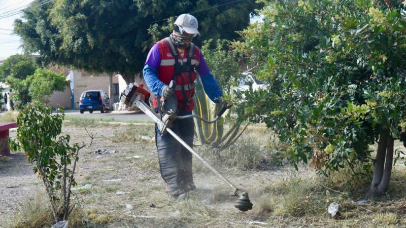 CAPITAL AL 100 PROGRAMA DEL GOBIERNO MUNICIPAL LLEGA A 682 EDICIONES