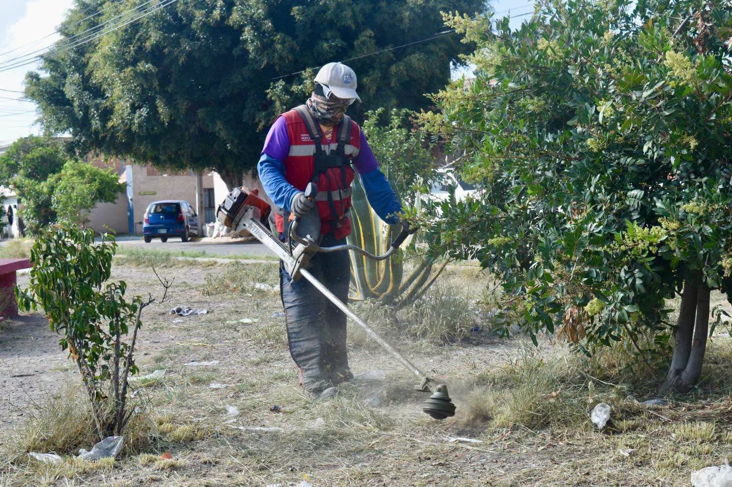 CAPITAL AL 100 PROGRAMA DEL GOBIERNO MUNICIPAL LLEGA A 682 EDICIONES