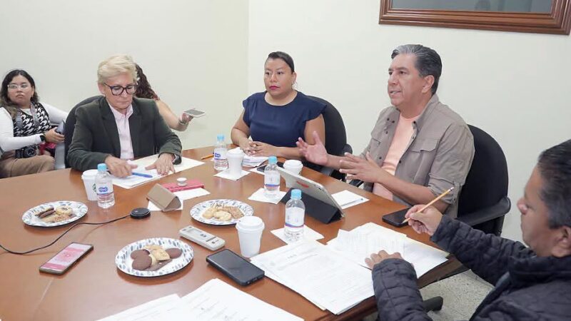 LA COMISIÓN DE SALUD Y ASISTENCIA SOCIAL APROBÓ REFORMAS PARA INCORPORAR LOS CONCEPTOS DE DEMENCIA, DETERIORO COGNITIVO Y SALUD CEREBRAL EN LA LEY DE SALUD DEL ESTADO.
