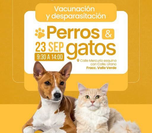 Este miércoles Gobierno Muncipal tendra en Valle Verde jornada de vacunación antirrábica y desparasitaciones