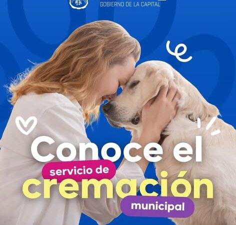 Ofrece Gobierno de San Luis Capital servicio de cremación para perros y gatos