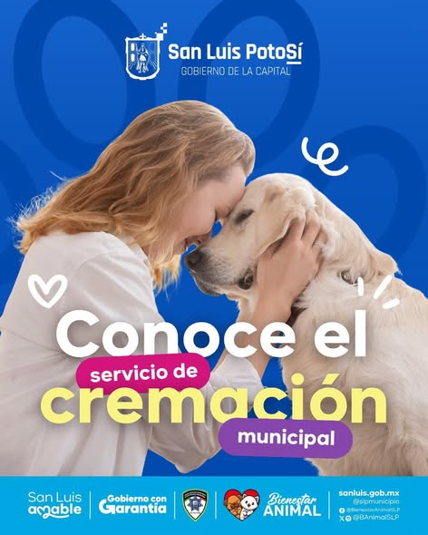 Ofrece Gobierno de San Luis Capital servicio de cremación para perros y gatos