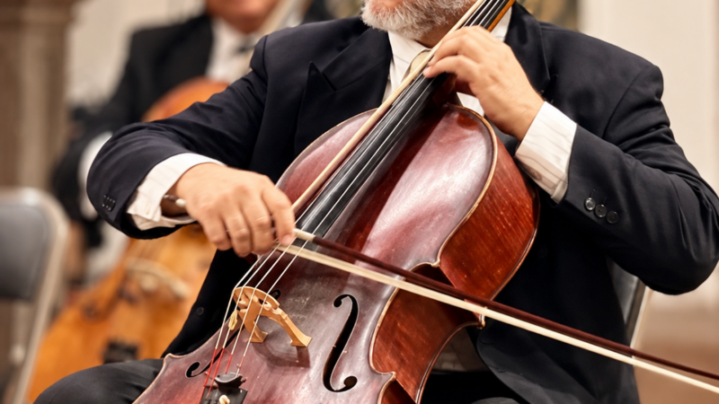 CAMERATA DE SAN LUIS PRESENTA “ENTRE RAPSODIAS Y DANZAS”