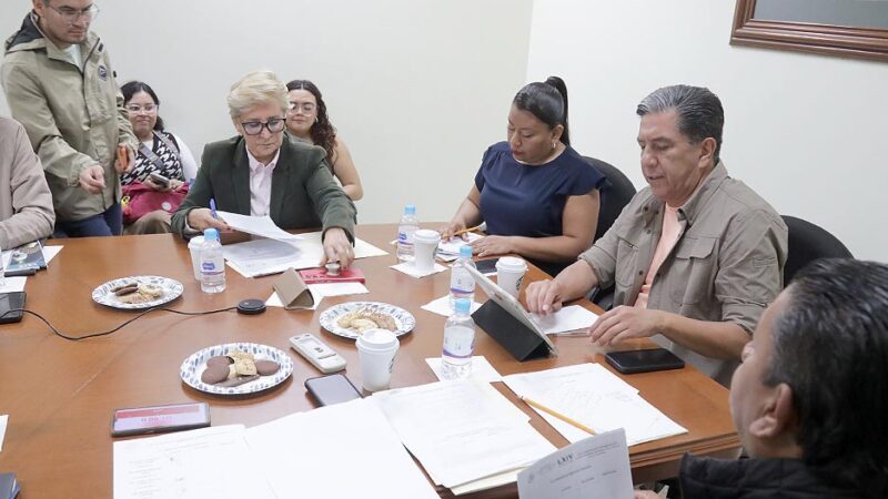 SE INTEGRAN LOS CONCEPTOS DE DISEÑO UNIVERSAL Y AJUSTES RAZONABLES PARA ELIMINAR OBSTÁCULOS A LAS PERSONAS CON DISCAPACIDAD EN CENTROS LABORALES.