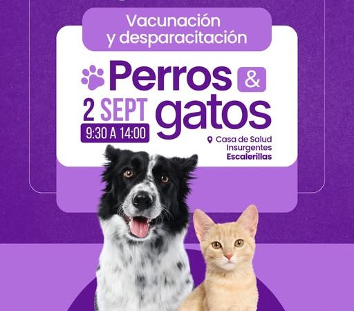 Llega Jornada gratuita de vacunación y desparasitación del Gobierno de la Capital a Escalerillas