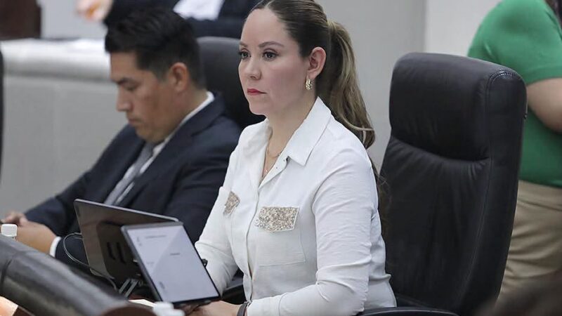 NECESARIO FORTALECER EL MARCO JURÍDICO PARA GARANTIZAR LA PROMOCIÓN Y ATENCIÓN DE LA SALUD MENTAL EN SAN LUIS POTOSÍ.