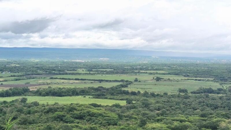 LLUVIAS BENEFICIAN CULTIVOS Y ACTIVIDAD PRODUCTIVA DEL CAMPO POTOSINO