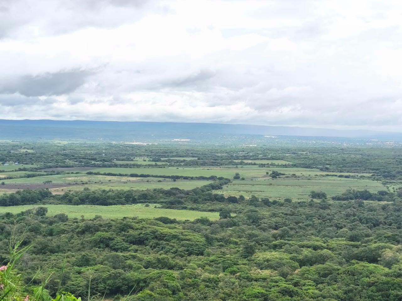 LLUVIAS BENEFICIAN CULTIVOS Y ACTIVIDAD PRODUCTIVA DEL CAMPO POTOSINO