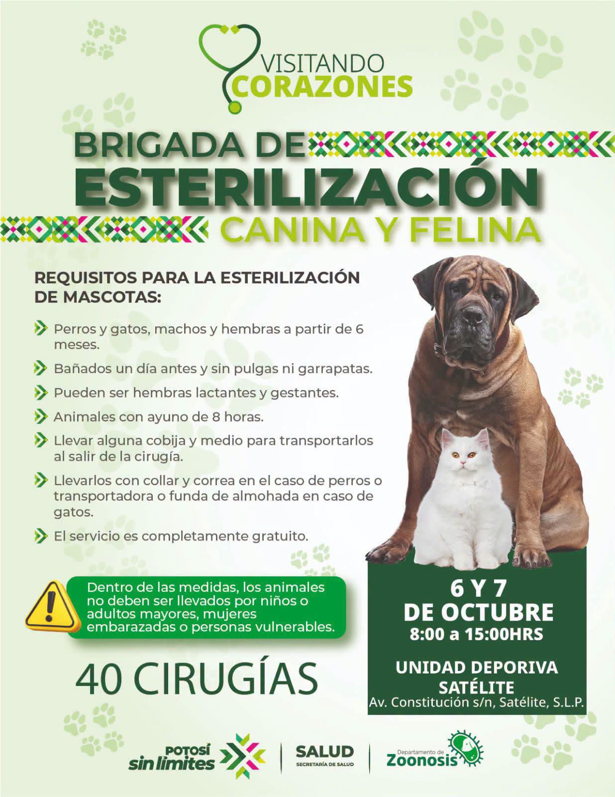 MEGA JORNADA GRATUITA REALIZA 275 ESTERILIZACIONES DE PERROS Y GATOS EN SAN LUIS POTOSÍ.