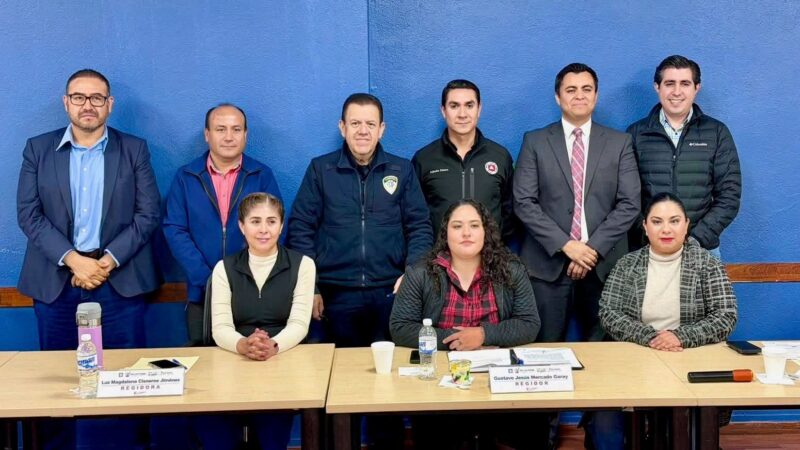 Gobierno Municipal y Cabildo refuerzan medidas para proteger el arbolado urbano