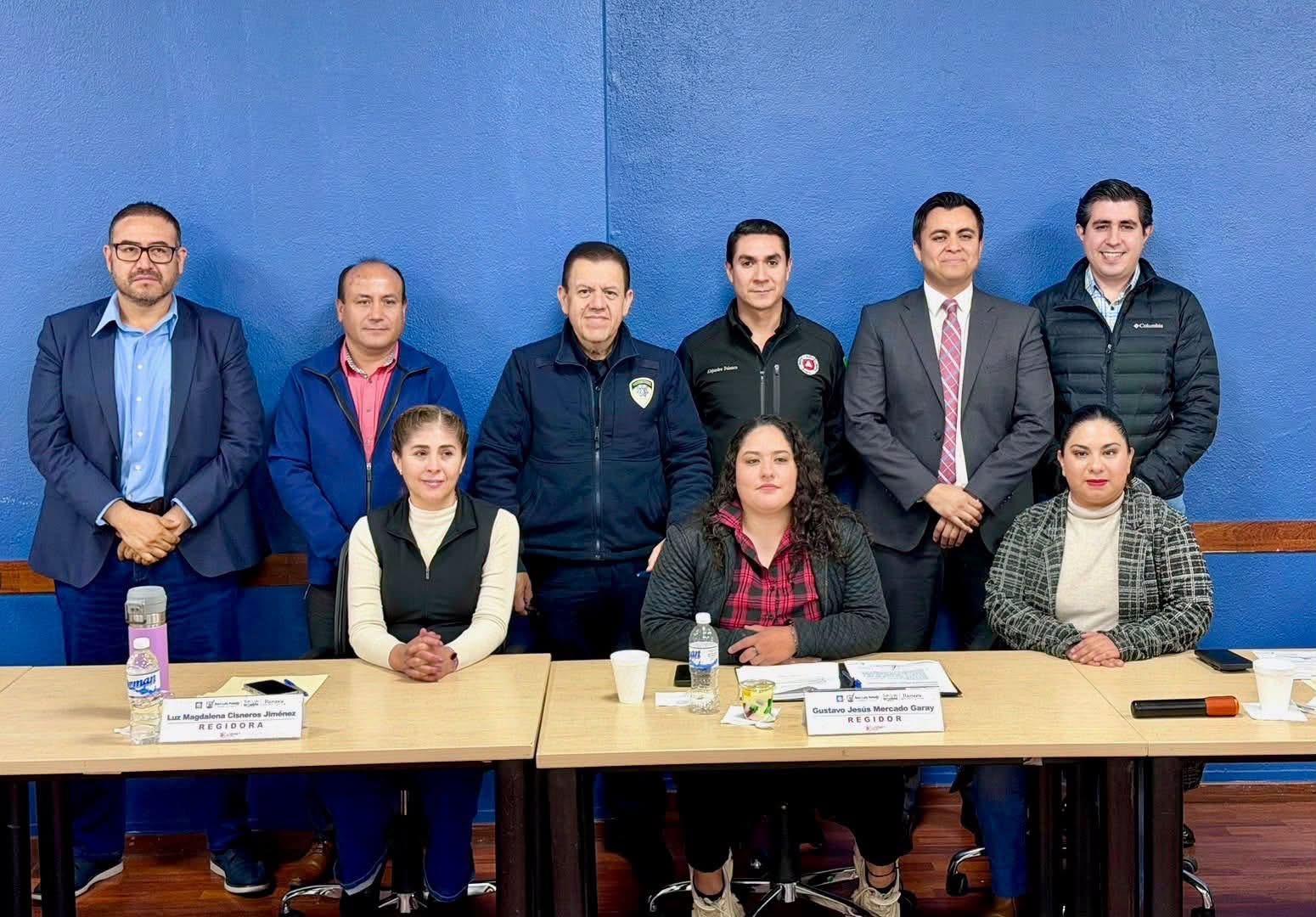 Gobierno Municipal y Cabildo refuerzan medidas para proteger el arbolado urbano