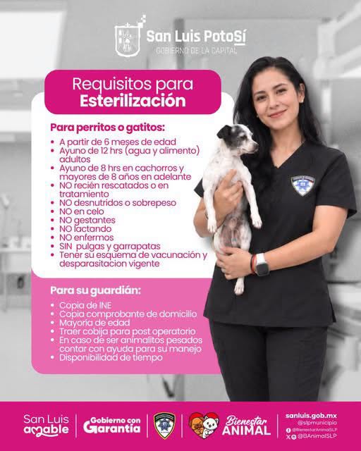 Gobierno de la Capital ofrece esterilizaciones mediante el Centro Integral para el Bienestar Animal