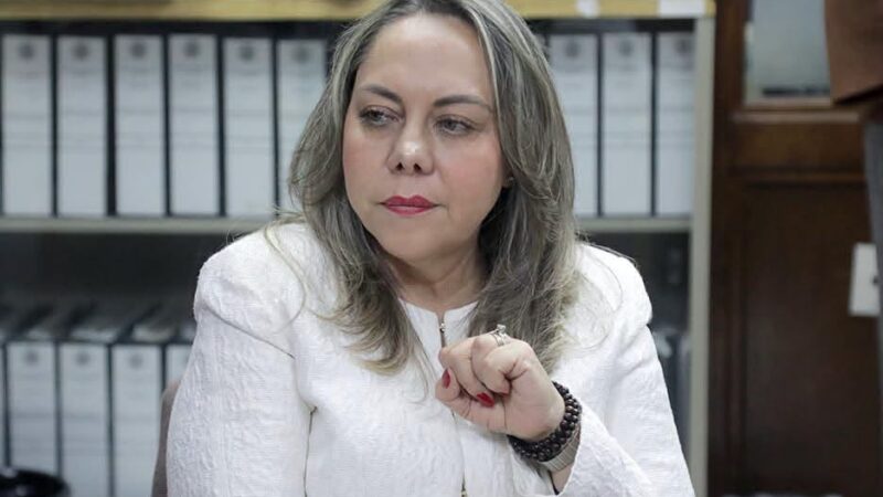 LA DIP. SARA ROCHA MEDINA PRESENTÓ INICIATIVA DE REFORMA CONSTITUCIONAL PARA RECONOCER EL DERECHO A LA PROTECCIÓN INTEGRAL DE LA MATERNIDAD.